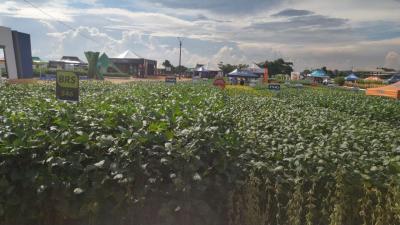 Dia de Campo da Coprossel teve uma ótima participação dos associados